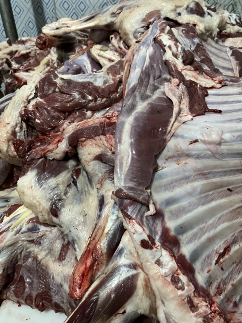 冰鲜纯干剔骨羊肉支持全国发货肉质细嫩鲜美