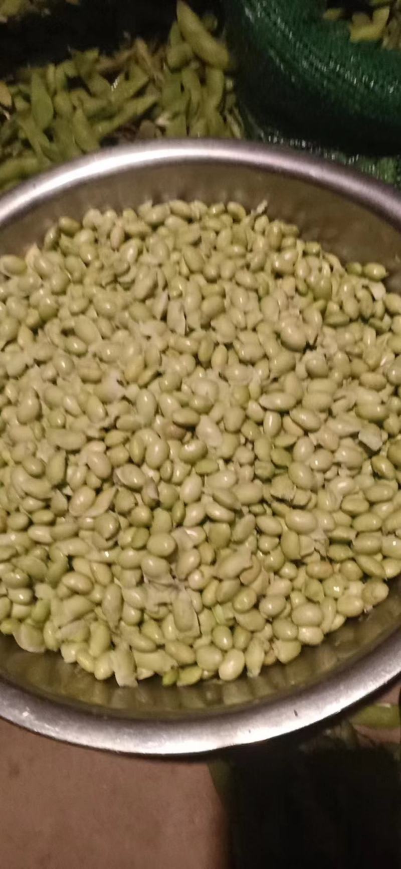 豆荚