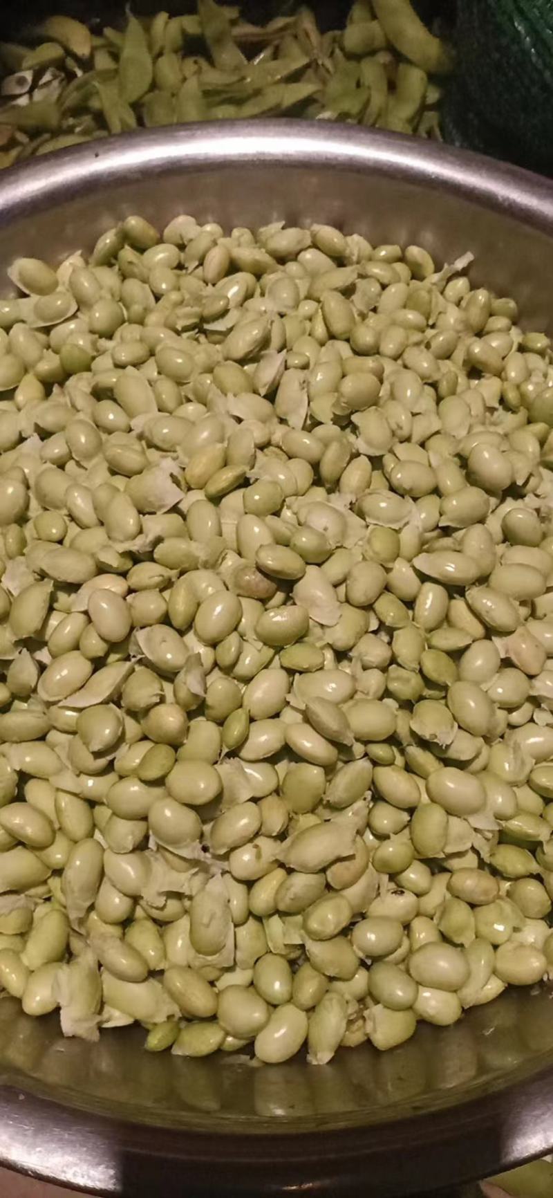 豆荚