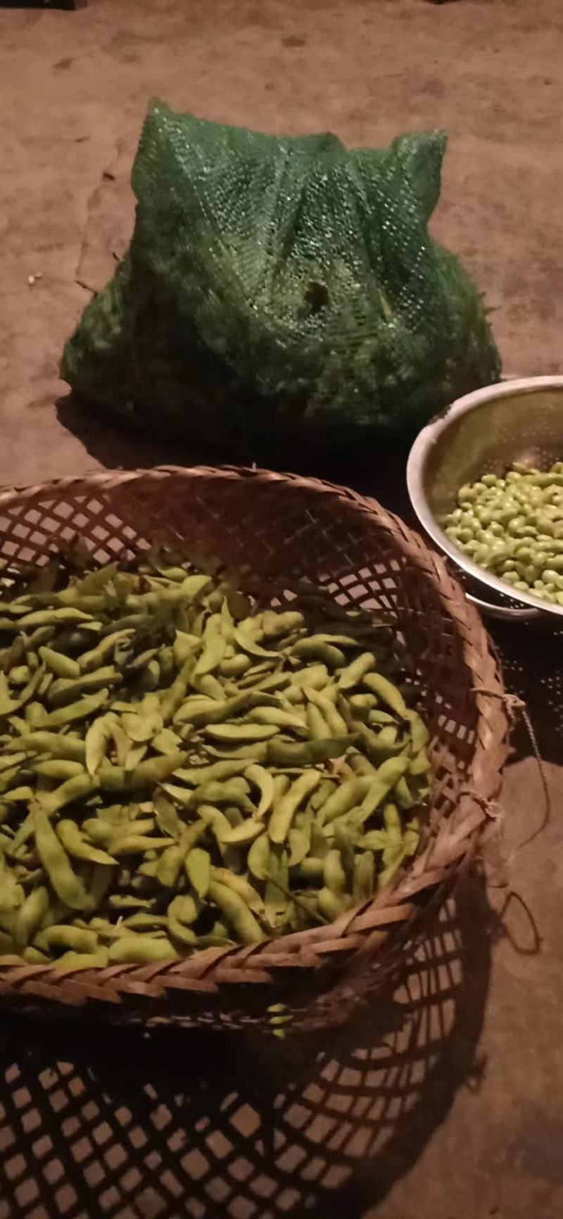 豆荚