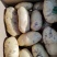 土豆荷兰十五产地直供货源充足代发全国保证质量