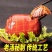 五香猪耳朵500g卤味熟食真空凉拌菜凉菜猪耳猪头肉下酒菜