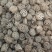 生藕节中药材干藕节老藕节药用莲藕根新