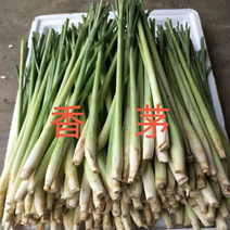 云南新鲜香茅草、泰国品种香茅可以做香精，食材，基地直供