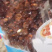 珍珠桃胶