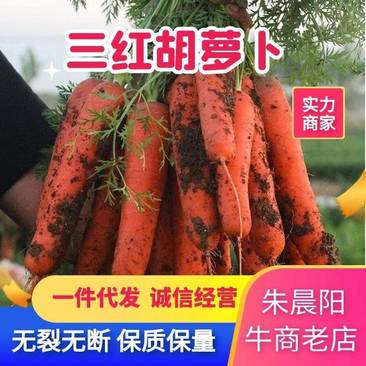 精品长条三红胡萝卜，产地直供一件代发(市场，超市，电商)