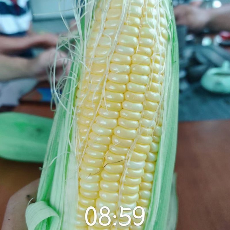 超甜水果玉米