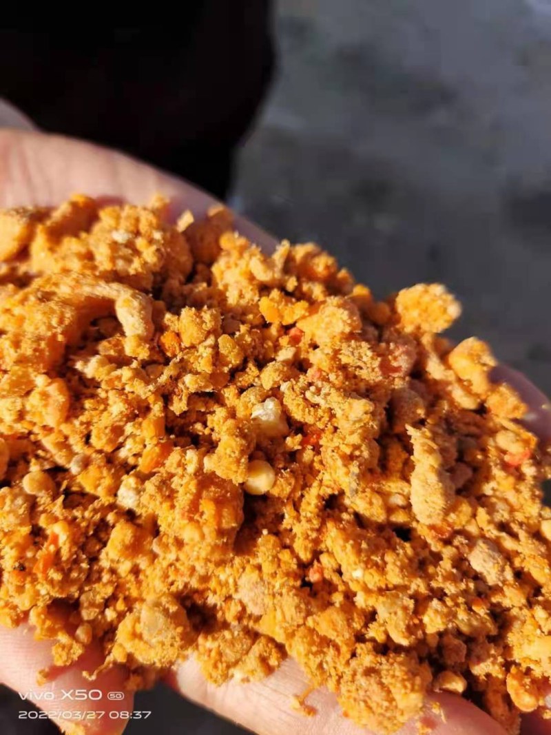 糟渣类饲料，肯德基油渣，做饲料育肥，养殖