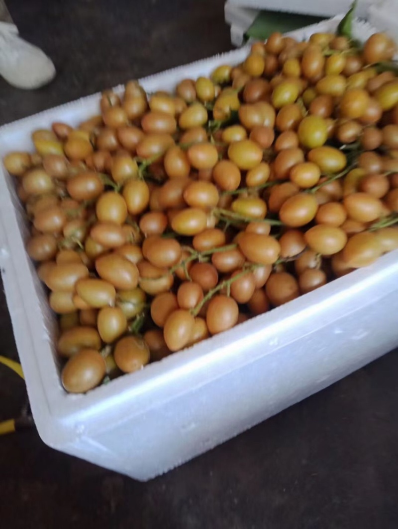 现在有大量鸡心皮出货，每天都可以装15000-3000斤