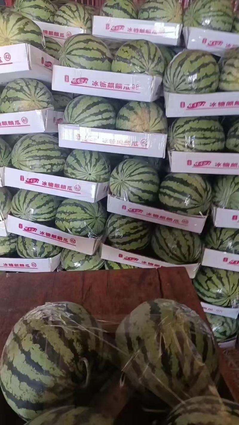 湖北西瓜，个大皮薄，瓤红味甜，支持视频看货及代收代发