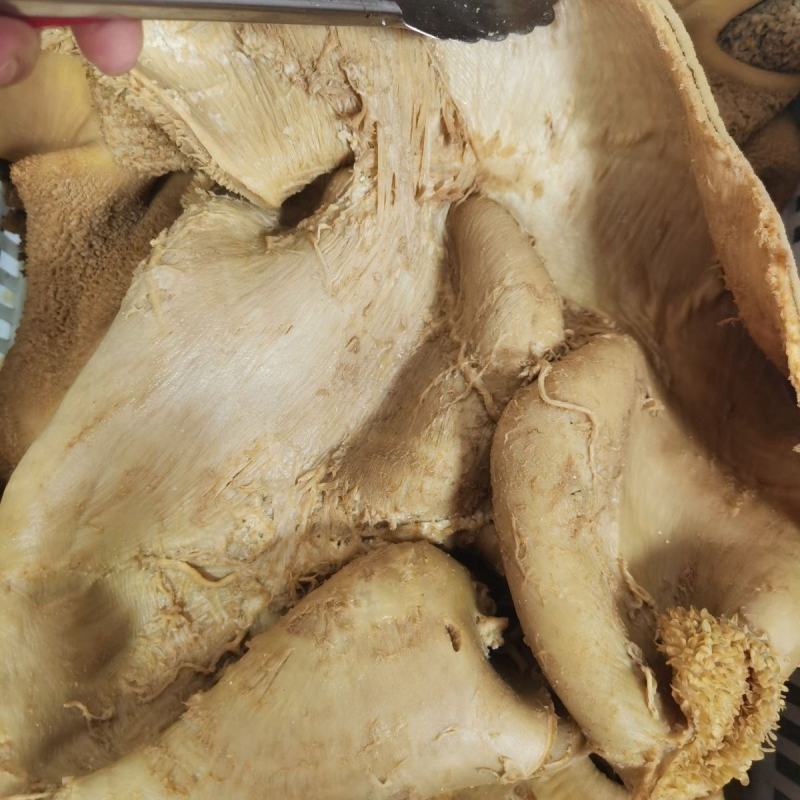 冲销量产品清真全熟全料五香酱牛肚加热食用加热直接食