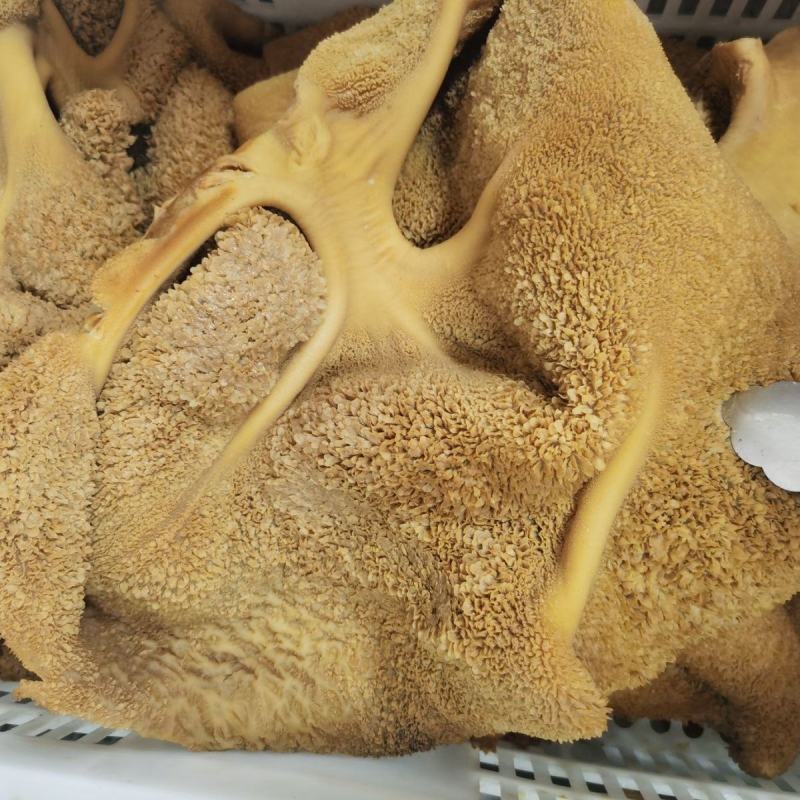 冲销量产品清真全熟全料五香酱牛肚加热食用加热直接食