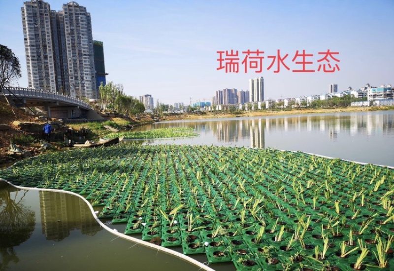 人工浮岛生态浮岛浮床组装种植打造水域景观