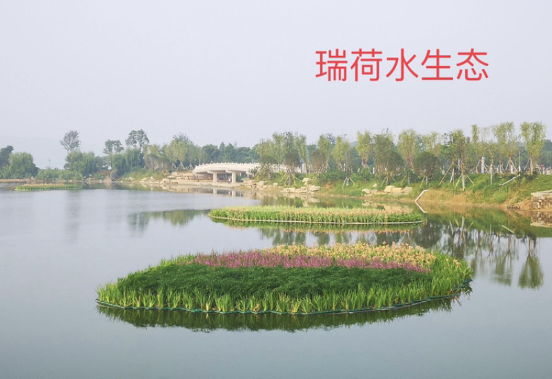 人工浮岛生态浮岛浮床组装种植打造水域景观
