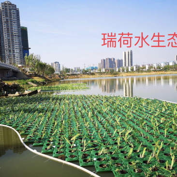 人工浮岛生态浮岛浮床组装种植打造水域景观