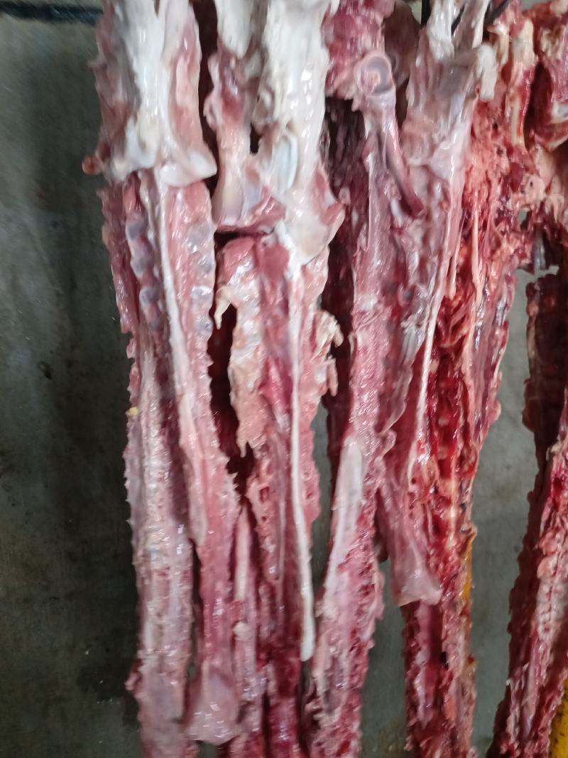 羔羊脊骨3块钱一斤，大量现货，可发样品