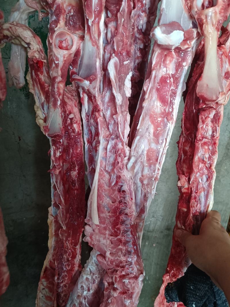 羔羊脊骨3块钱一斤，大量现货，可发样品