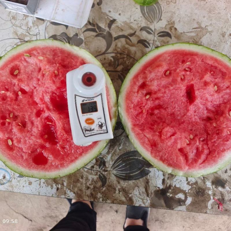 精品美都西瓜，大量有货，大棚西瓜