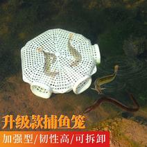 新款黄鳝笼专用鳝鱼笼子塑料虾笼自制倒须泥鳅笼抓鱼篓