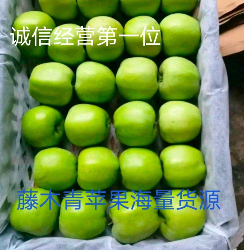 藤木苹果，青苹果，绿苹果，海量有货质量有保证