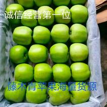 藤木苹果，青苹果，绿苹果，海量有货质量有保证