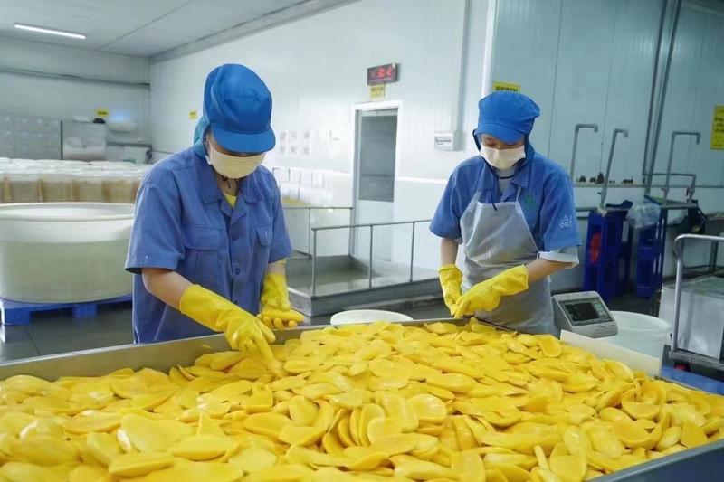 芒果干罐装代工贴牌水果干厂家直销一件代发办公零食广西特产