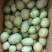 黄果
