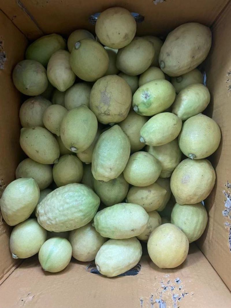 黄果