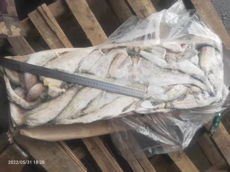 金鲳鱼狭鳕鱼带鱼虾皮