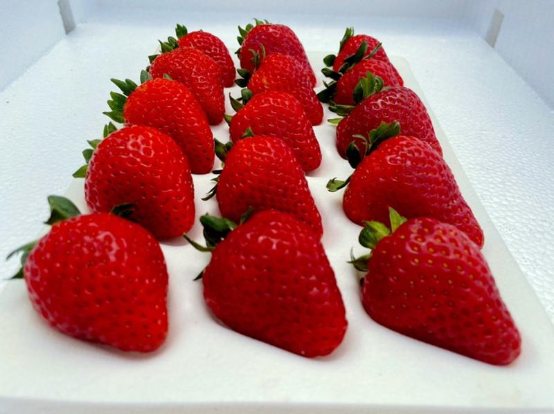 草莓pt盒草莓，商用蛋糕烘焙奶茶果酱饮料糖葫芦亮盒