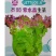【紫水晶生菜种子】特色紫叶沙拉生菜种子养颜四季盆栽蔬菜种