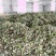 【推荐】淫羊藿，精选货，产地直供，全国发货，欢迎联系