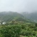 东魁杨梅