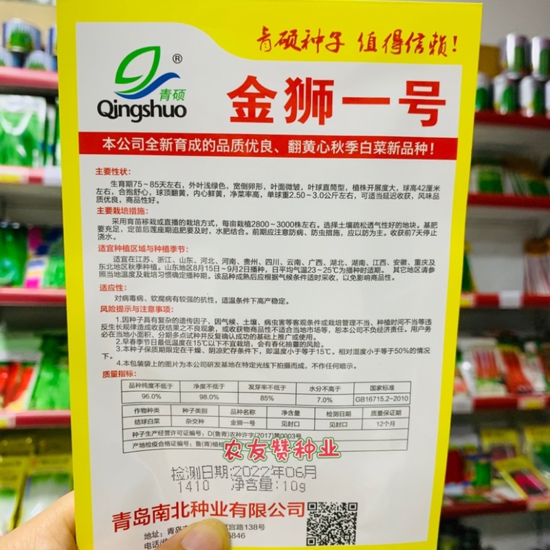 青硕金狮一号大白菜种子翻黄心秋季白菜新品种黄心白菜种子
