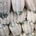 白萝卜大量供应、质量保证、支持各种包装、欢迎采购。