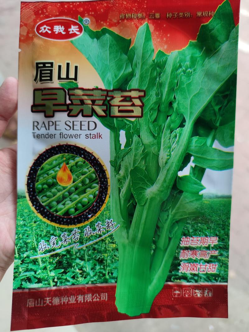 眉山早菜苔种子甘蓝型早熟品种,茎杆壮,长势旺,抗冻强,