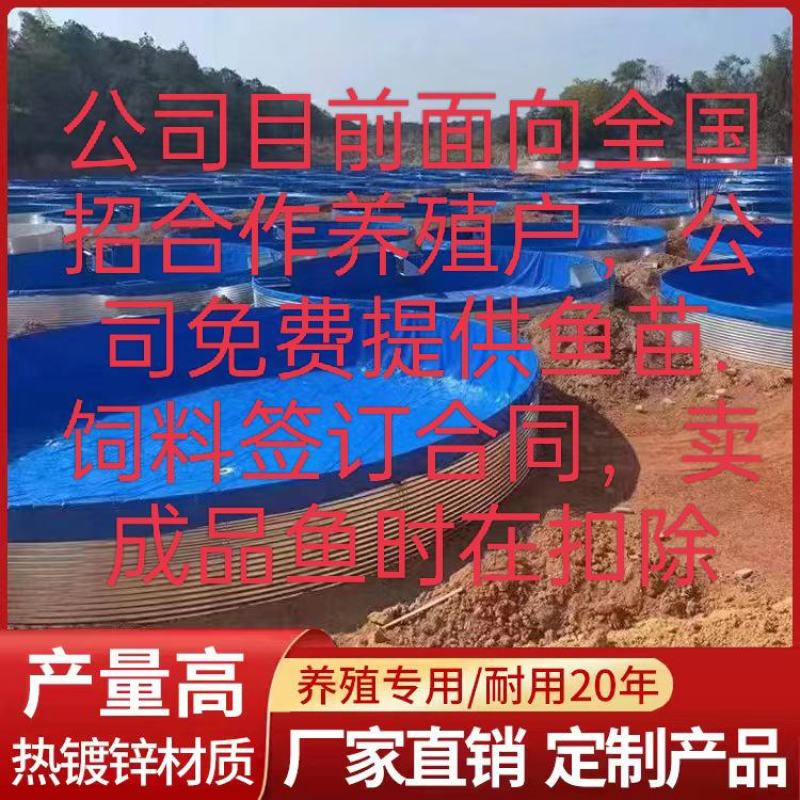 镀锌板帆布鱼池挡板养殖高密度圆筒养殖鱼池基地蓄水池
