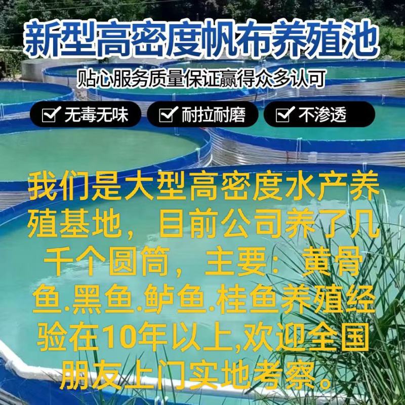 镀锌板帆布鱼池挡板养殖高密度圆筒养殖鱼池基地蓄水池