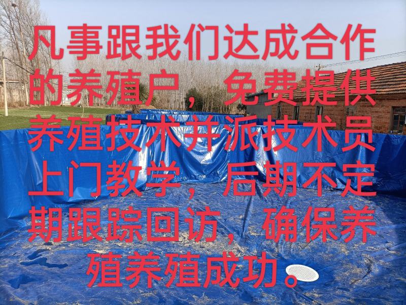 镀锌板帆布鱼池圆筒养殖鱼池挡板基地蓄水池全国发货货到付款
