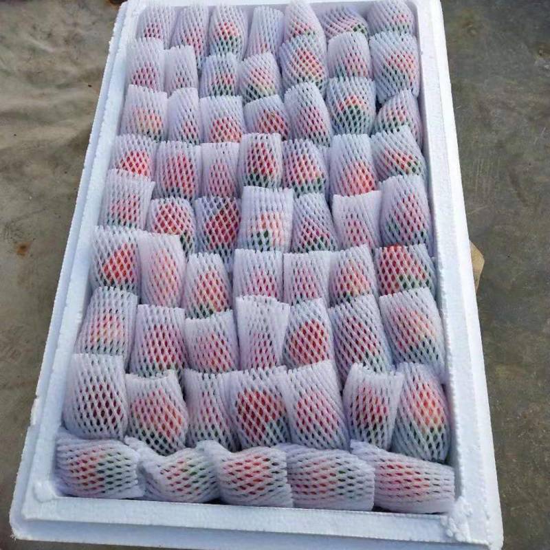 （网套散装畸形果，次果）四季商用草莓基地直发蒙特瑞