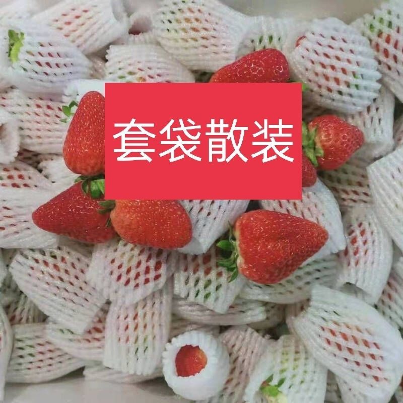 （网套散装畸形果，次果）四季商用草莓基地直发蒙特瑞
