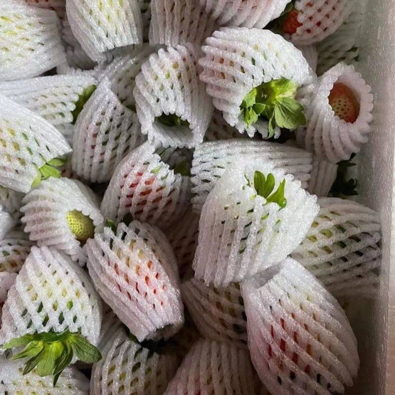 （网套散装畸形果，次果）四季商用草莓基地直发蒙特瑞
