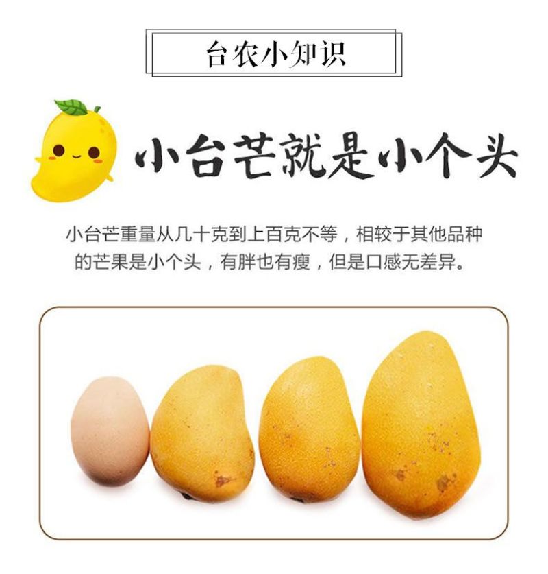 小台农芒果电商一件代发接市场代收代办团购直播等
