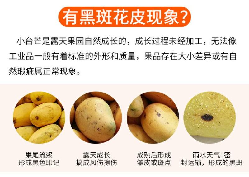 小台农芒果电商一件代发接市场代收代办团购直播等