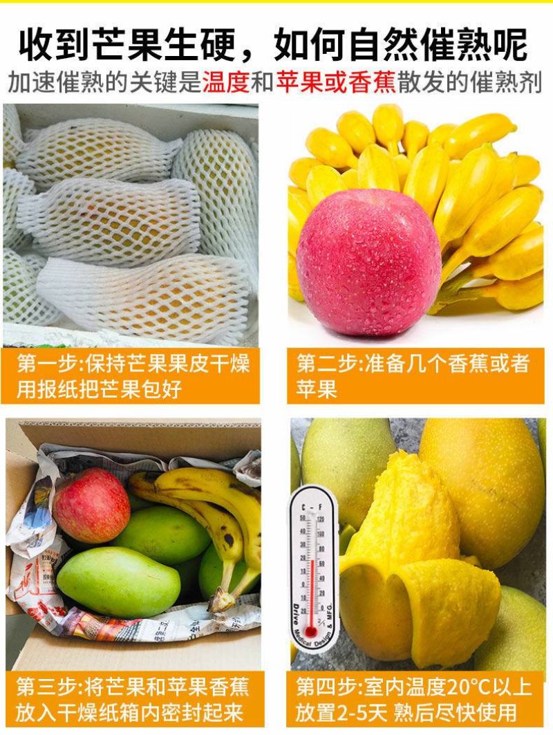 小台农芒果电商一件代发接市场代收代办团购直播等