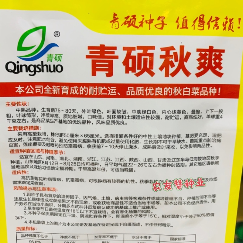 青硕秋爽耐贮运品质优良大白菜种子耐寒口感好浅黄心白菜种