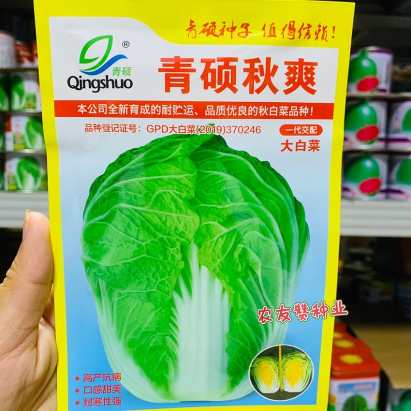 青硕秋爽耐贮运品质优良大白菜种子耐寒口感好浅黄心白菜种