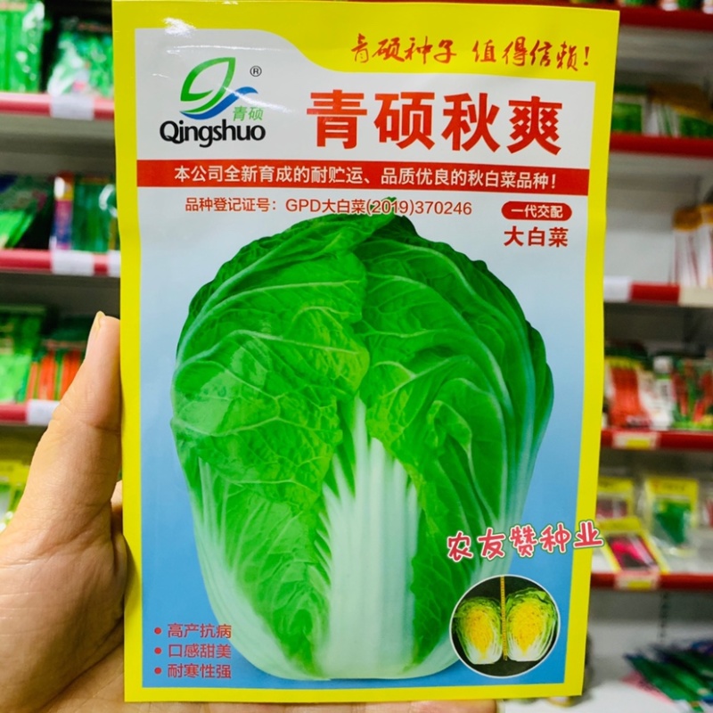 青硕秋爽耐贮运品质优良大白菜种子耐寒口感好浅黄心白菜种