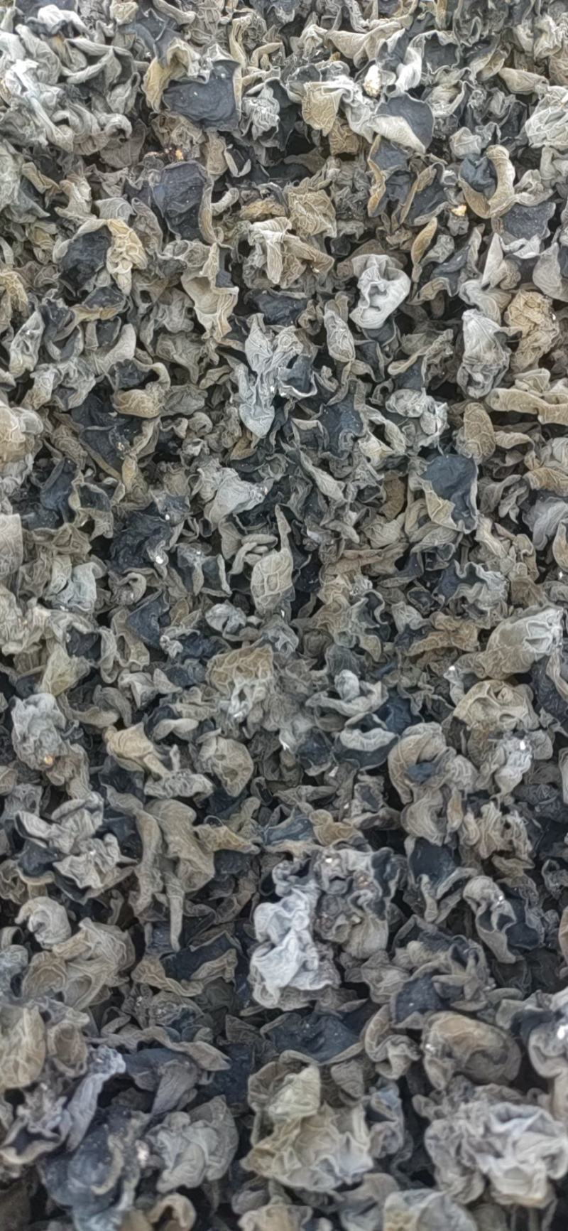 产地直发黑木耳，肉厚，泡发率高
