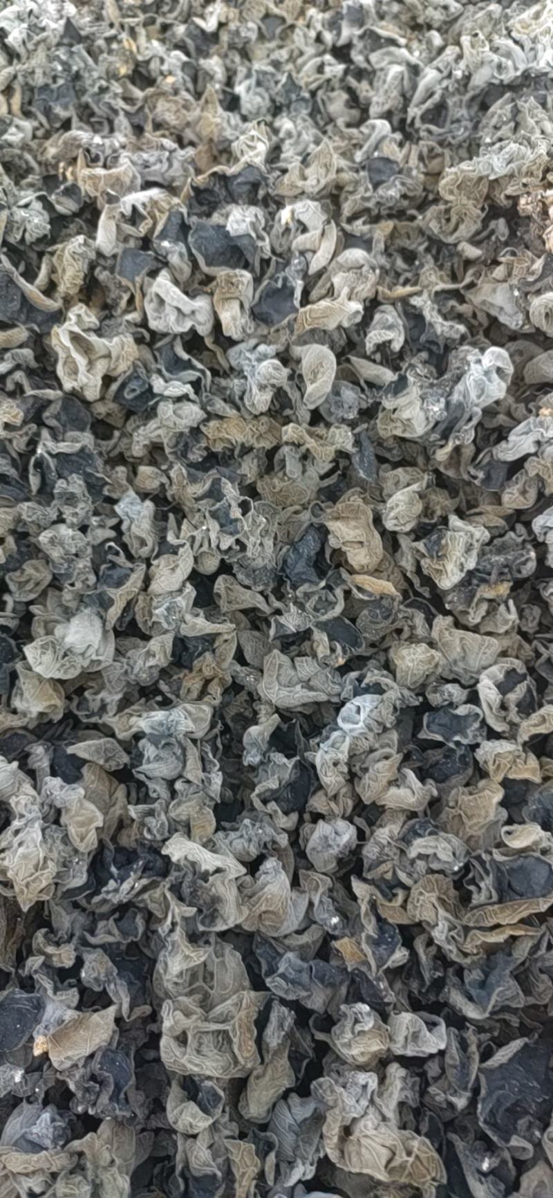 产地直发黑木耳，肉厚，泡发率高
